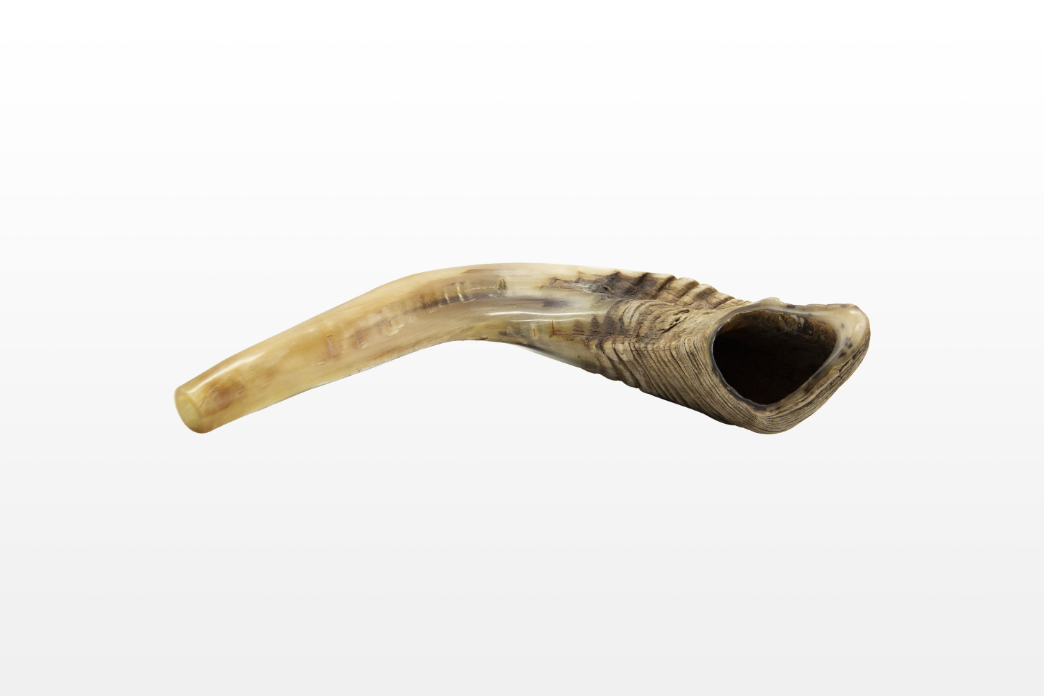 Ram's Horn Shofar - Israel Cart